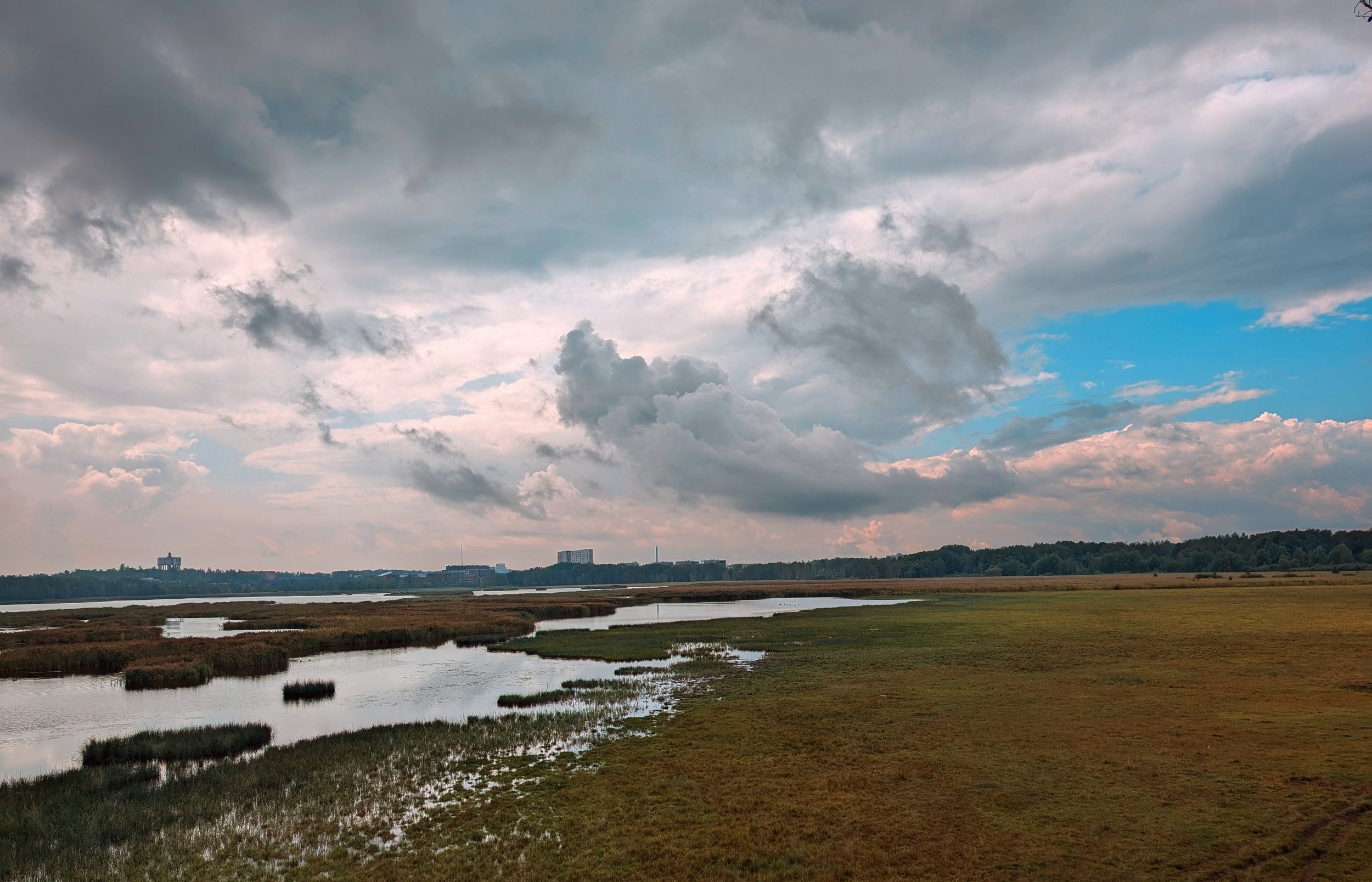 Cloudy skies over a wetland in Finland